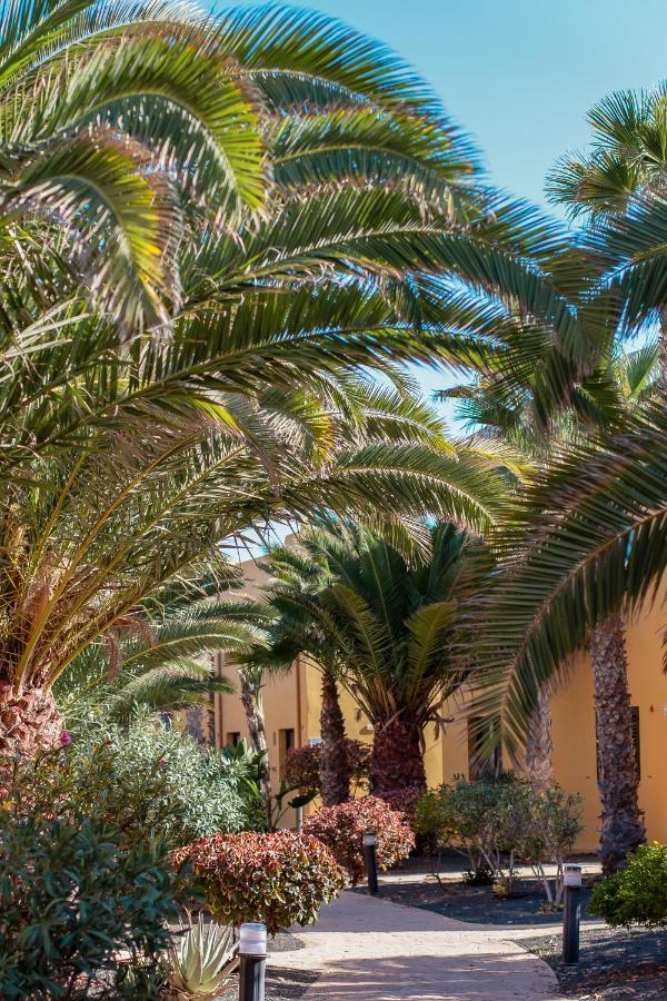 Oasis Fuerteventura Beach Apartments Corralejo Exterior foto